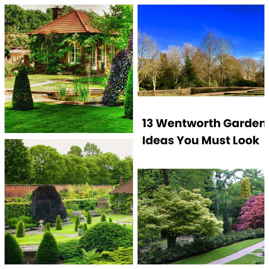 13 Wentworth Garden Ideas You Must Look