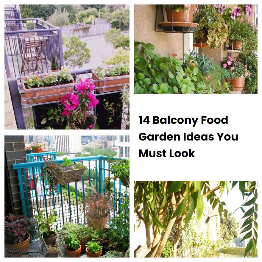 14 Balcony Food Garden Ideas You Must Look