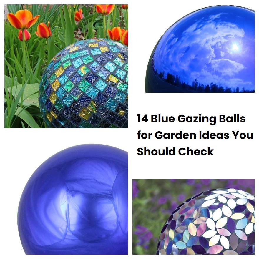 14 Blue Gazing Balls for Garden Ideas You Should Check SharonSable