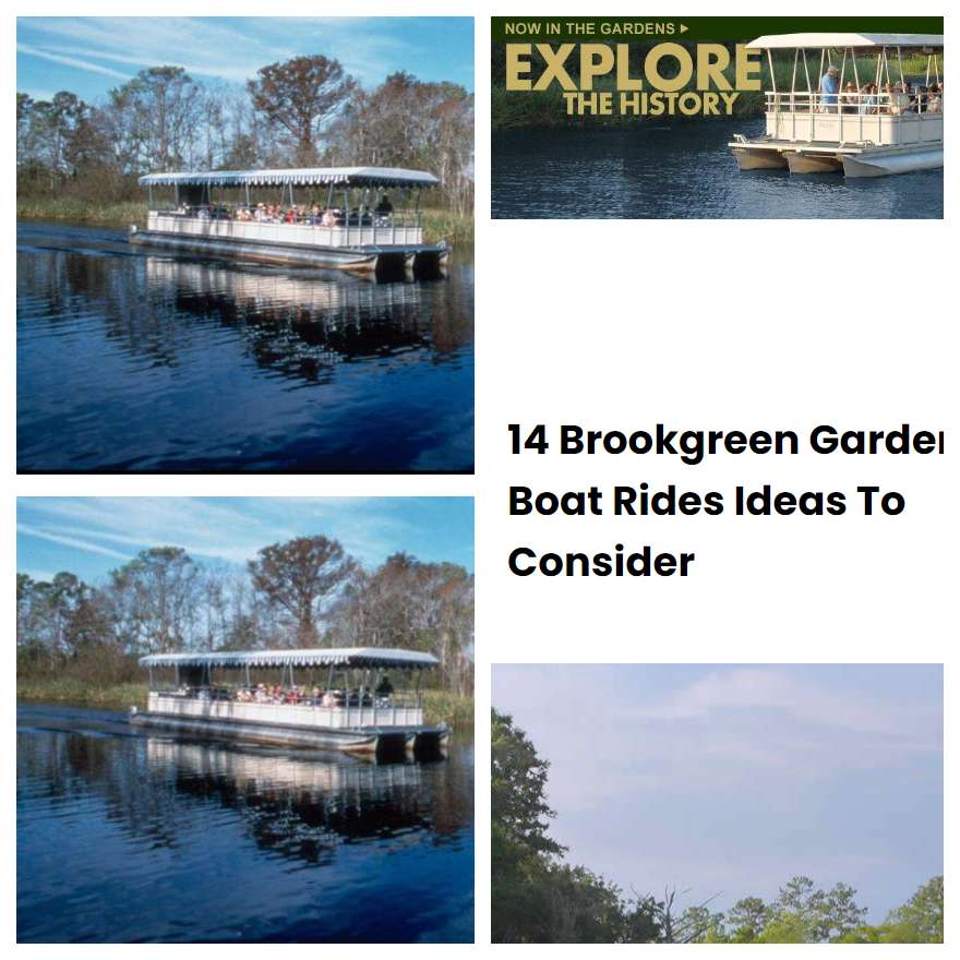 14 Brookgreen Garden Boat Rides Ideas To Consider | SharonSable