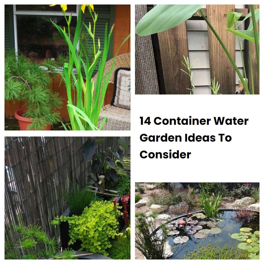 14 Container Water Garden Ideas To Consider SharonSable