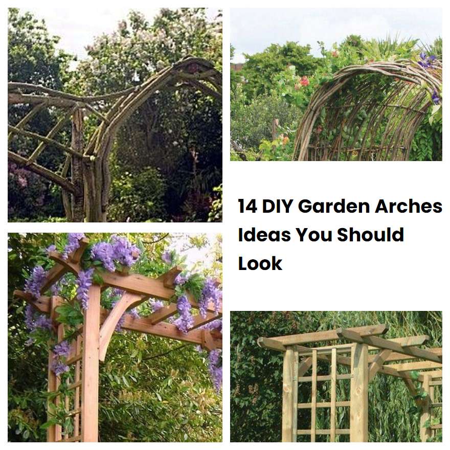 14 DIY Garden Arches Ideas You Should Look