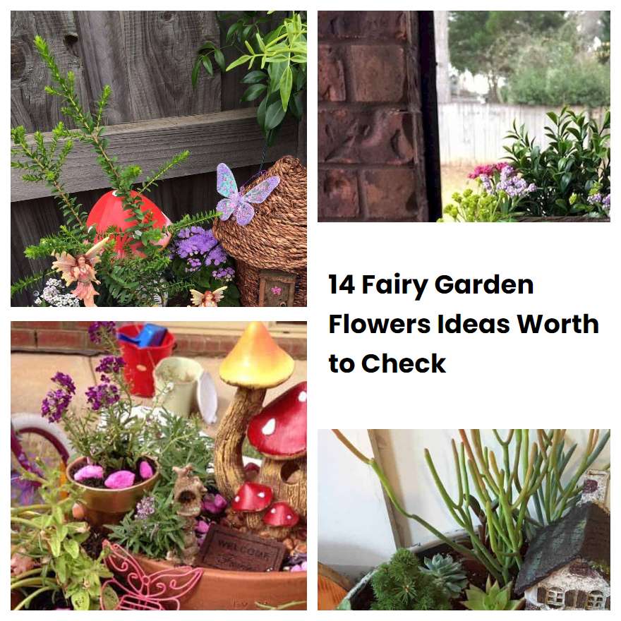 14 Fairy Garden Flowers Ideas Worth to Check SharonSable