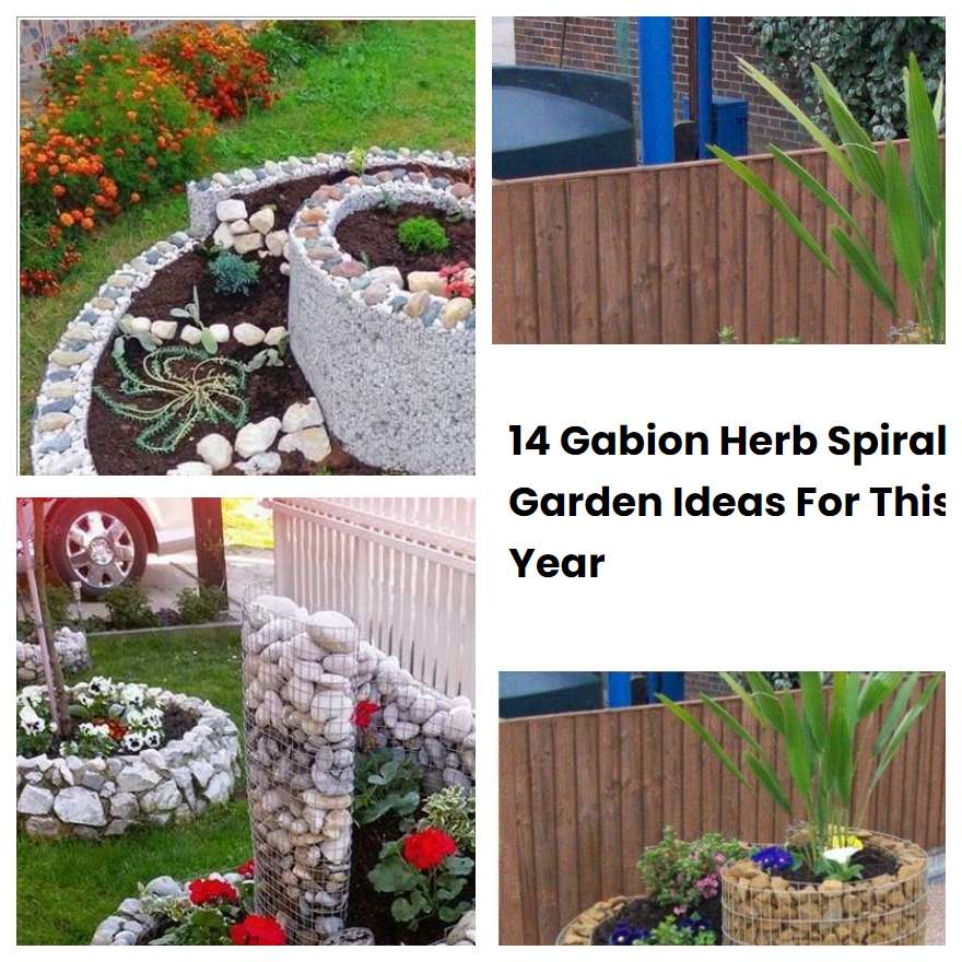 14 Gabion Herb Spiral Garden Ideas For This Year SharonSable