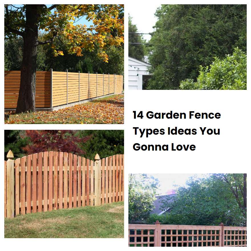 14 Garden Fence Types Ideas You Gonna Love