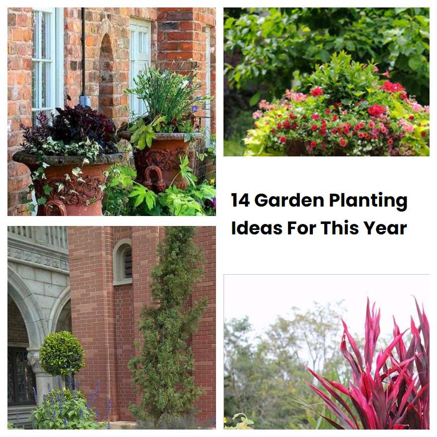 14 Garden Planting Ideas For This Year SharonSable