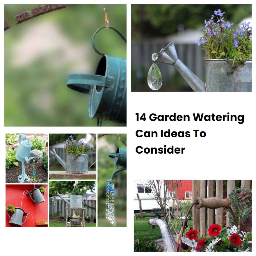 14 Garden Watering Can Ideas To Consider SharonSable