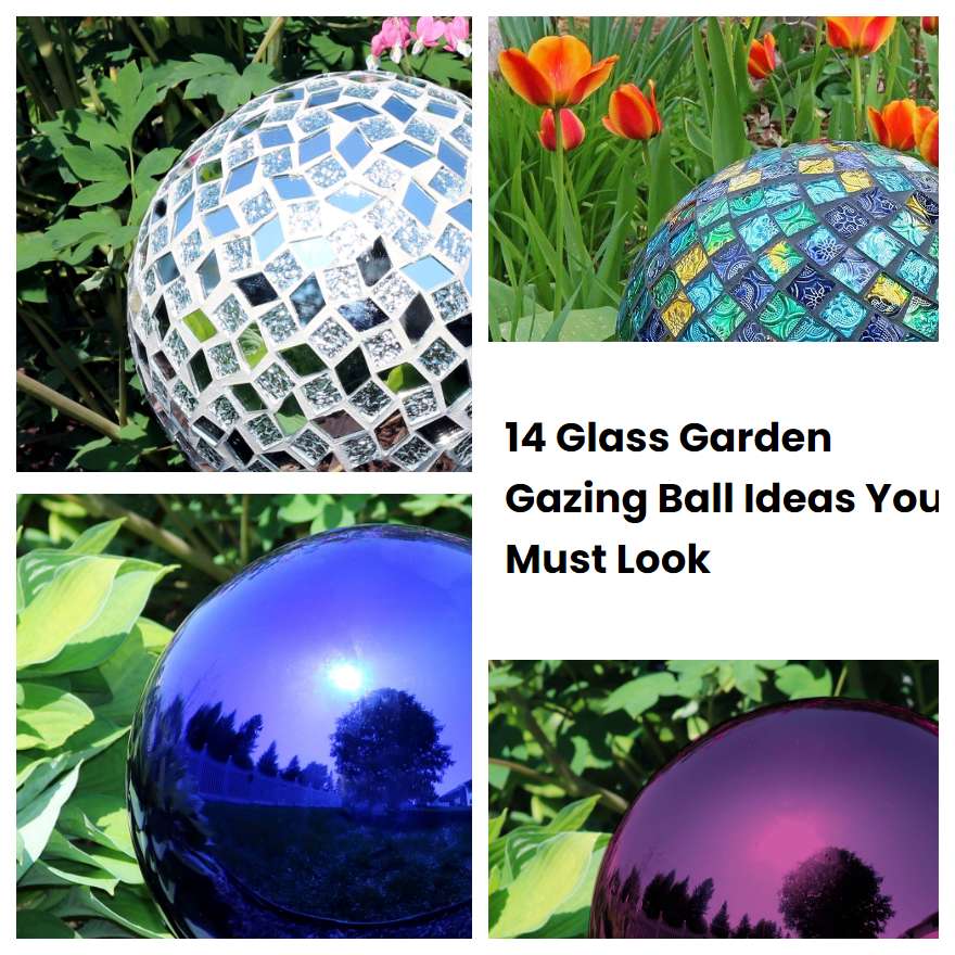 14 Glass Garden Gazing Ball Ideas You Must Look SharonSable