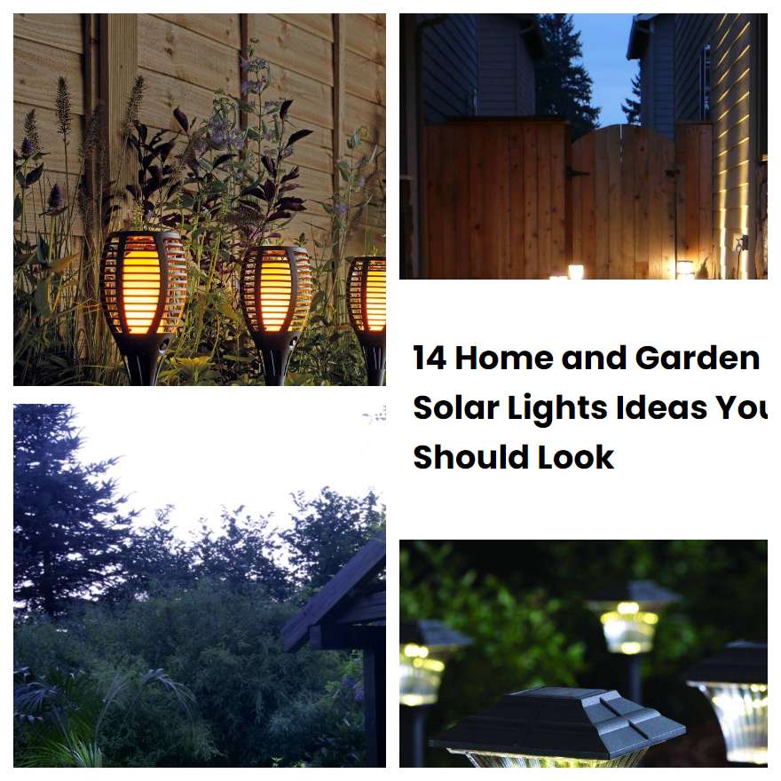 14 Home and Garden Solar Lights Ideas You Should Look