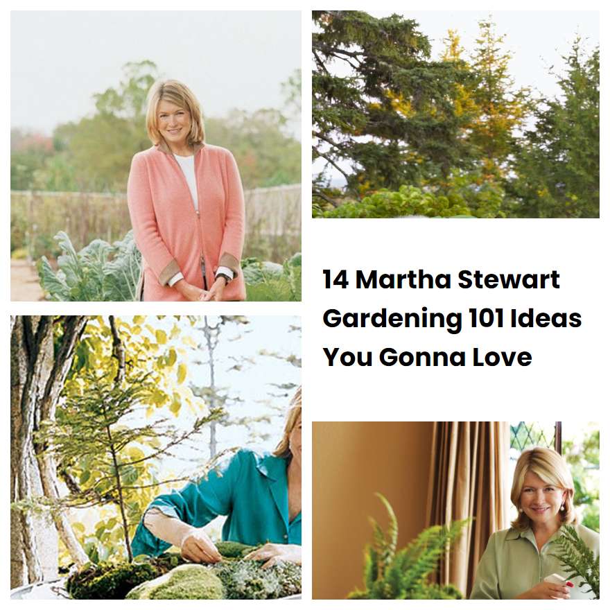 14 Martha Stewart Gardening 101 Ideas You Gonna Love
