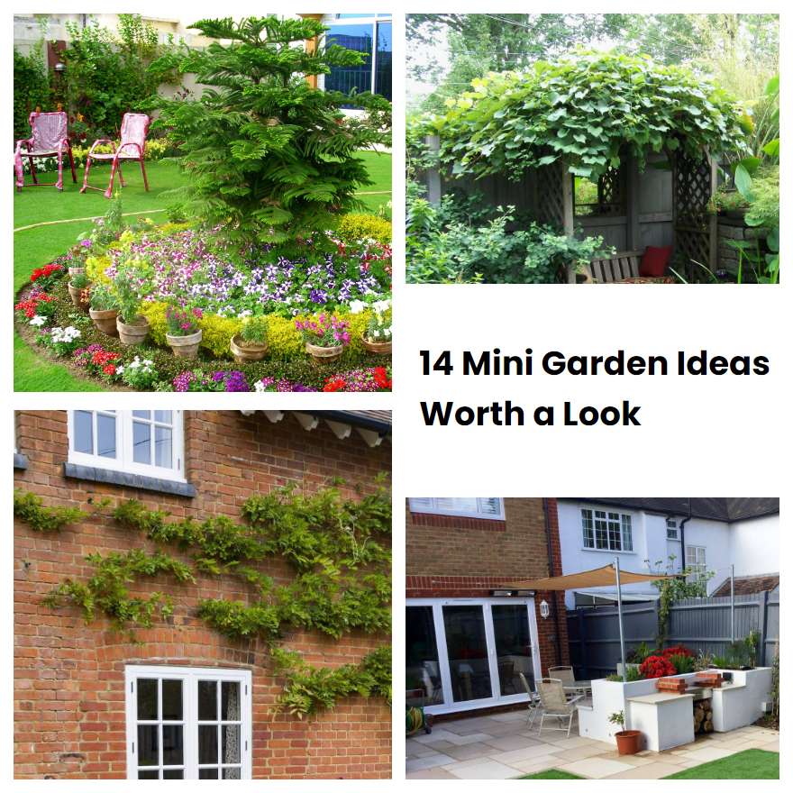 14 Mini Garden Ideas Worth a Look SharonSable