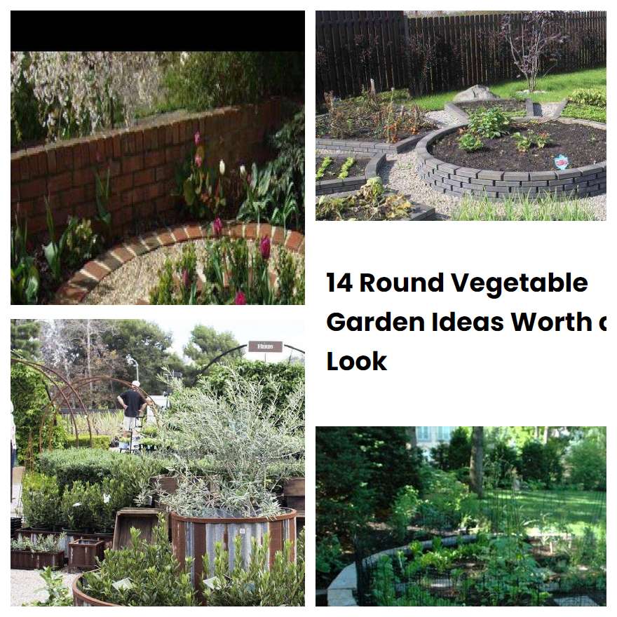 14 Round Vegetable Garden Ideas Worth a Look SharonSable