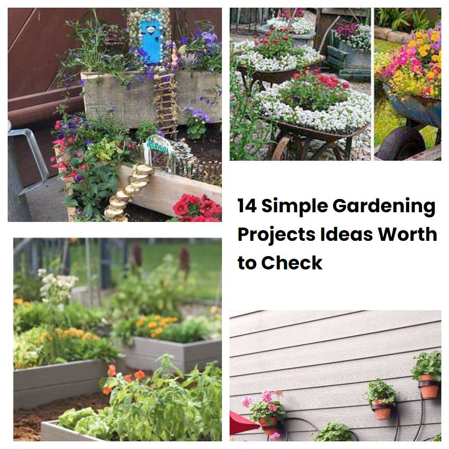 14 Simple Gardening Projects Ideas Worth to Check