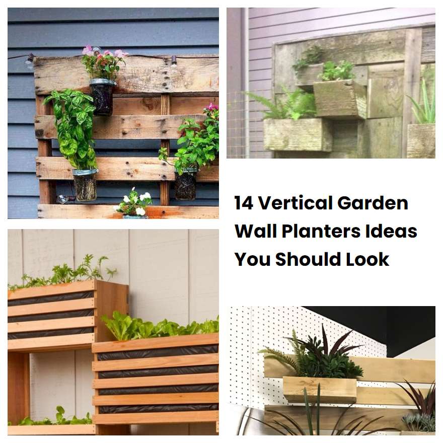 14 Vertical Garden Wall Planters Ideas You Should Look SharonSable