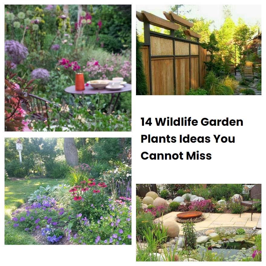14 Wildlife Garden Plants Ideas You Cannot Miss