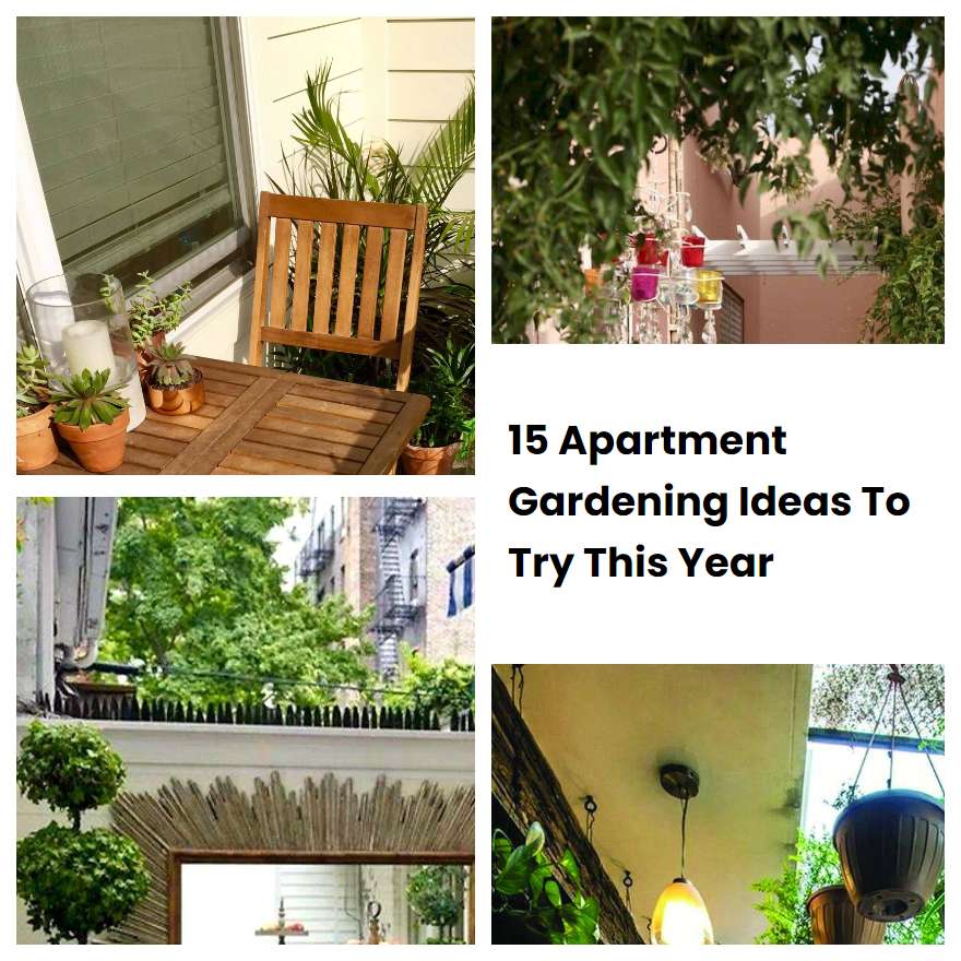 15 Apartment Gardening Ideas To Try This Year