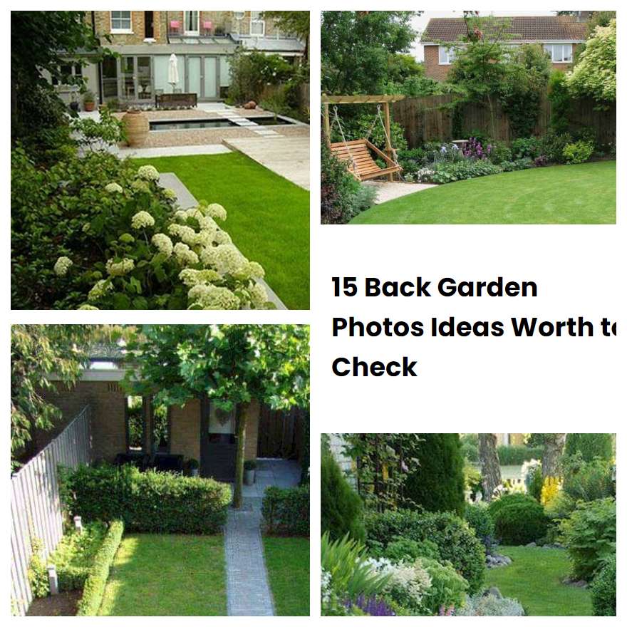 15 Back Garden Photos Ideas Worth to Check