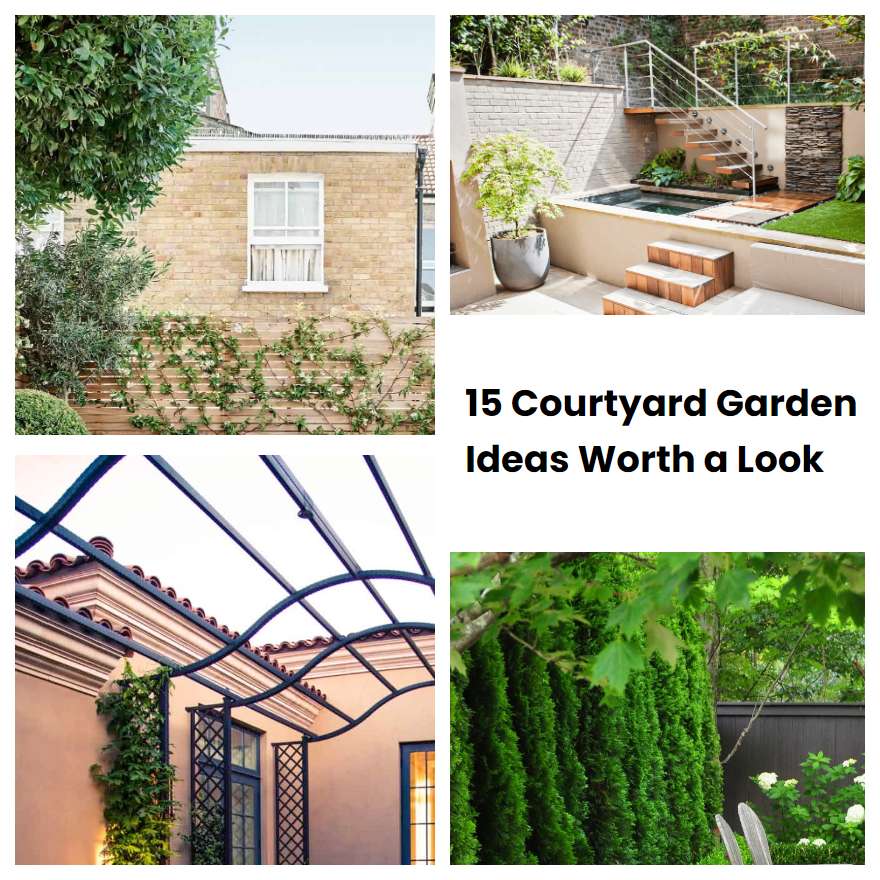 15 Courtyard Garden Ideas Worth a Look