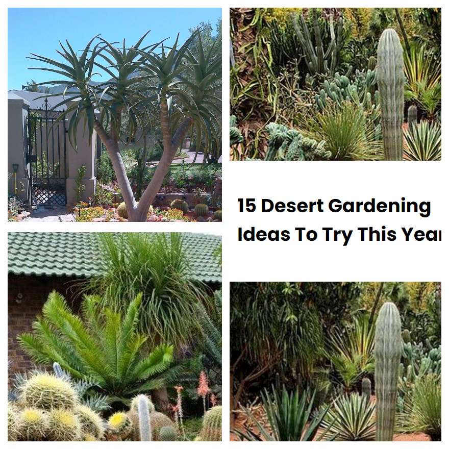 15 Desert Gardening Ideas To Try This Year