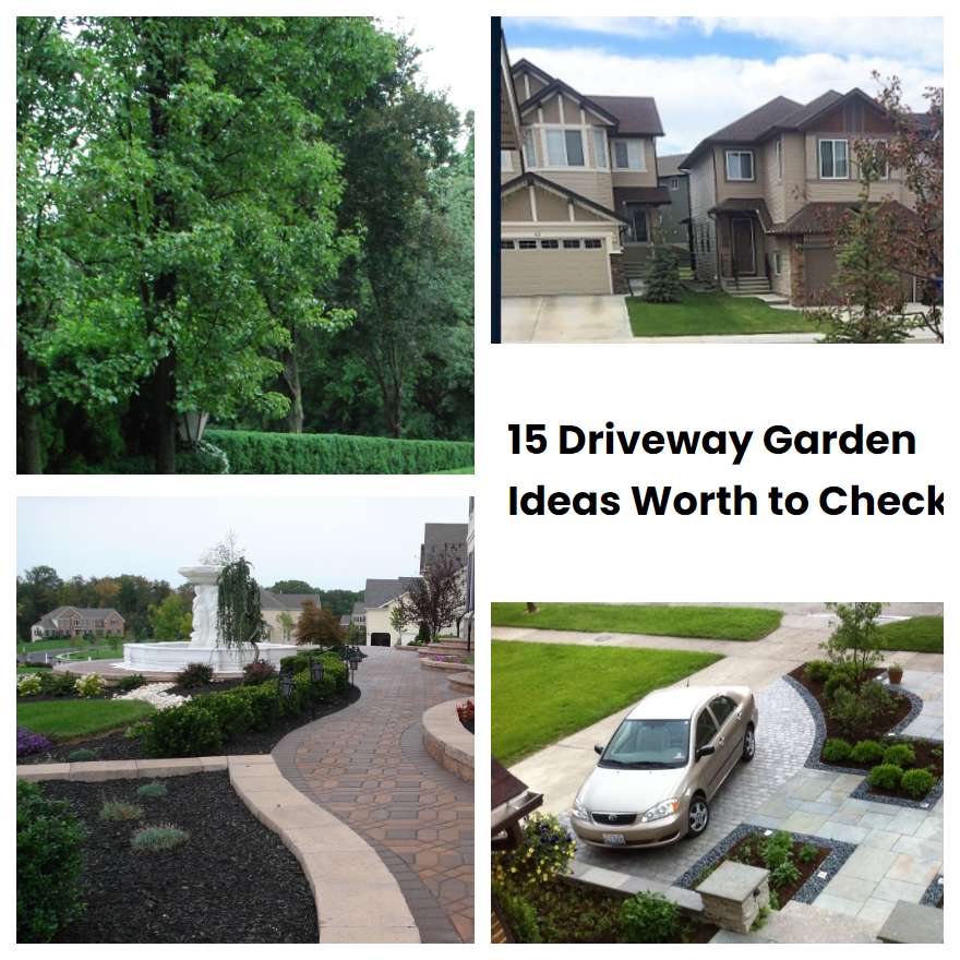 15 Driveway Garden Ideas Worth to Check