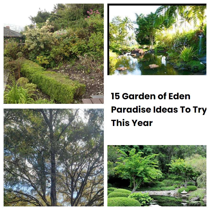15 Garden of Eden Paradise Ideas To Try This Year