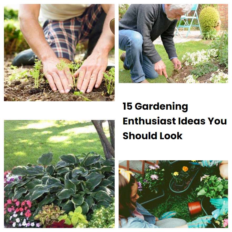 15 Gardening Enthusiast Ideas You Should Look