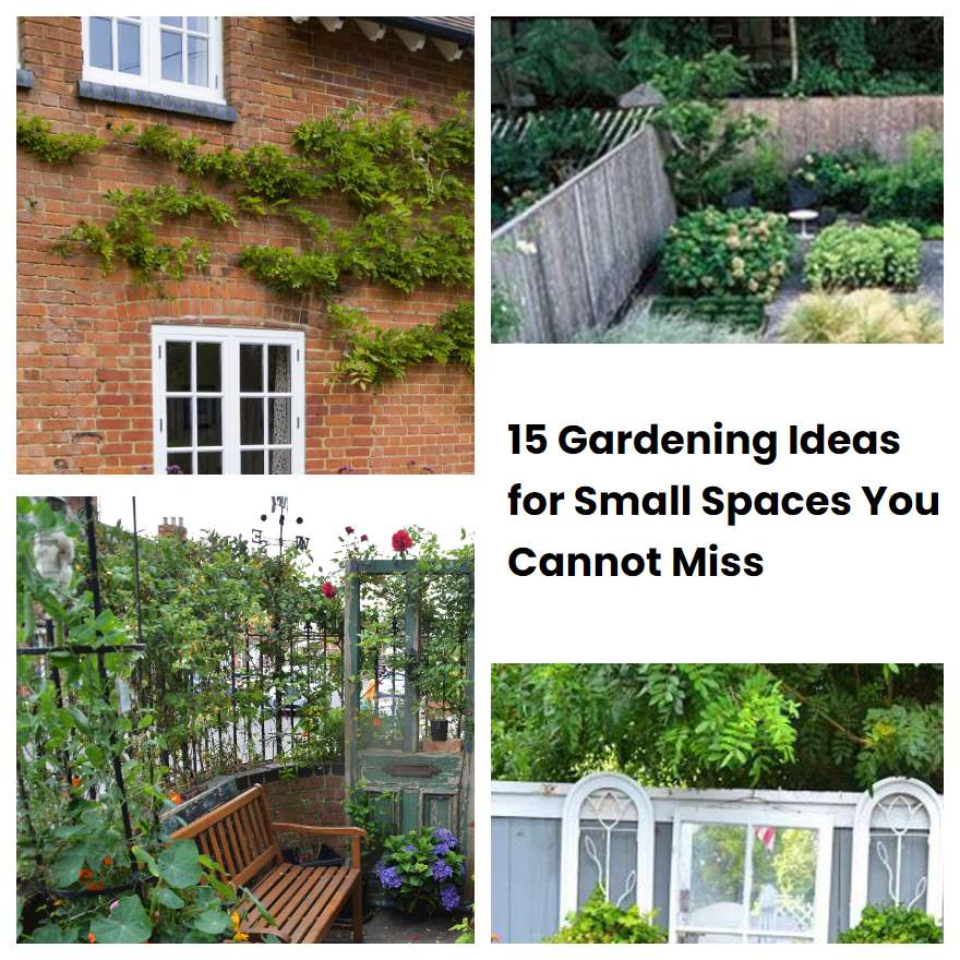 15 Gardening Ideas for Small Spaces You Cannot Miss SharonSable