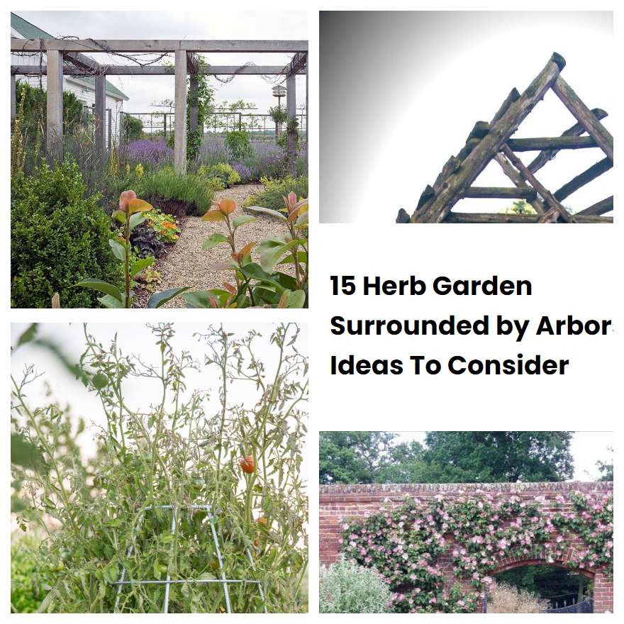 15 Herb Garden Surrounded by Arbors Ideas To Consider