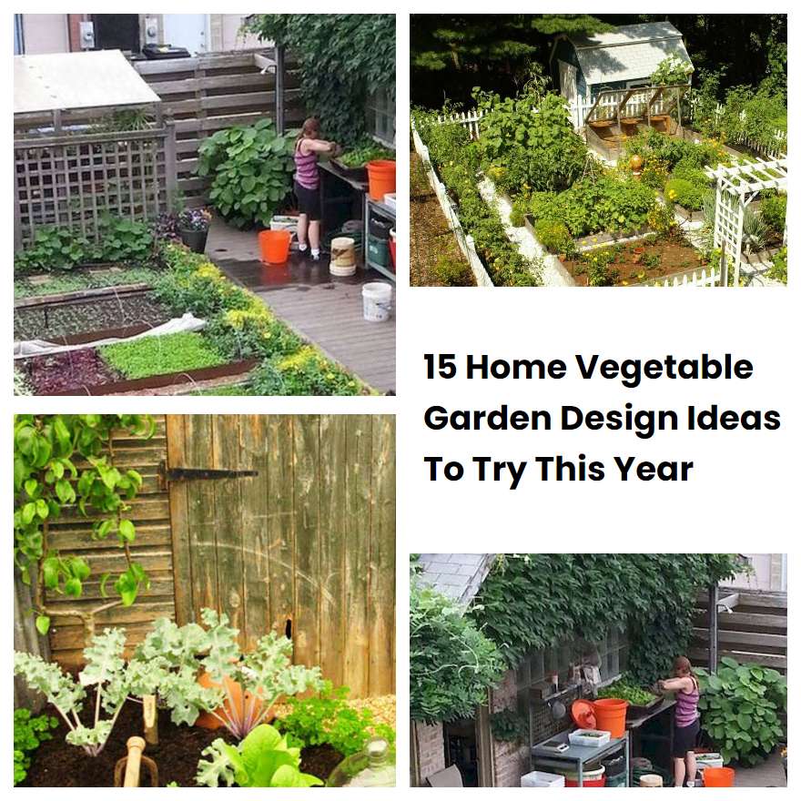 15 Home Vegetable Garden Design Ideas To Try This Year