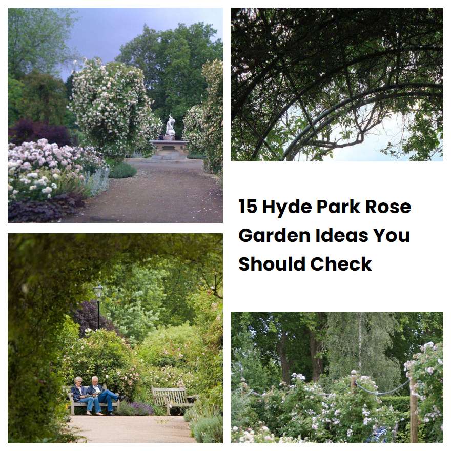 15 Hyde Park Rose Garden Ideas You Should Check