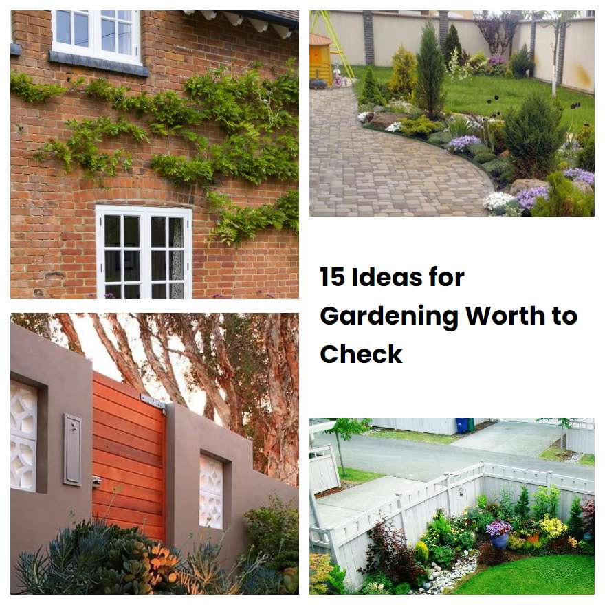 15 Ideas for Gardening Worth to Check SharonSable
