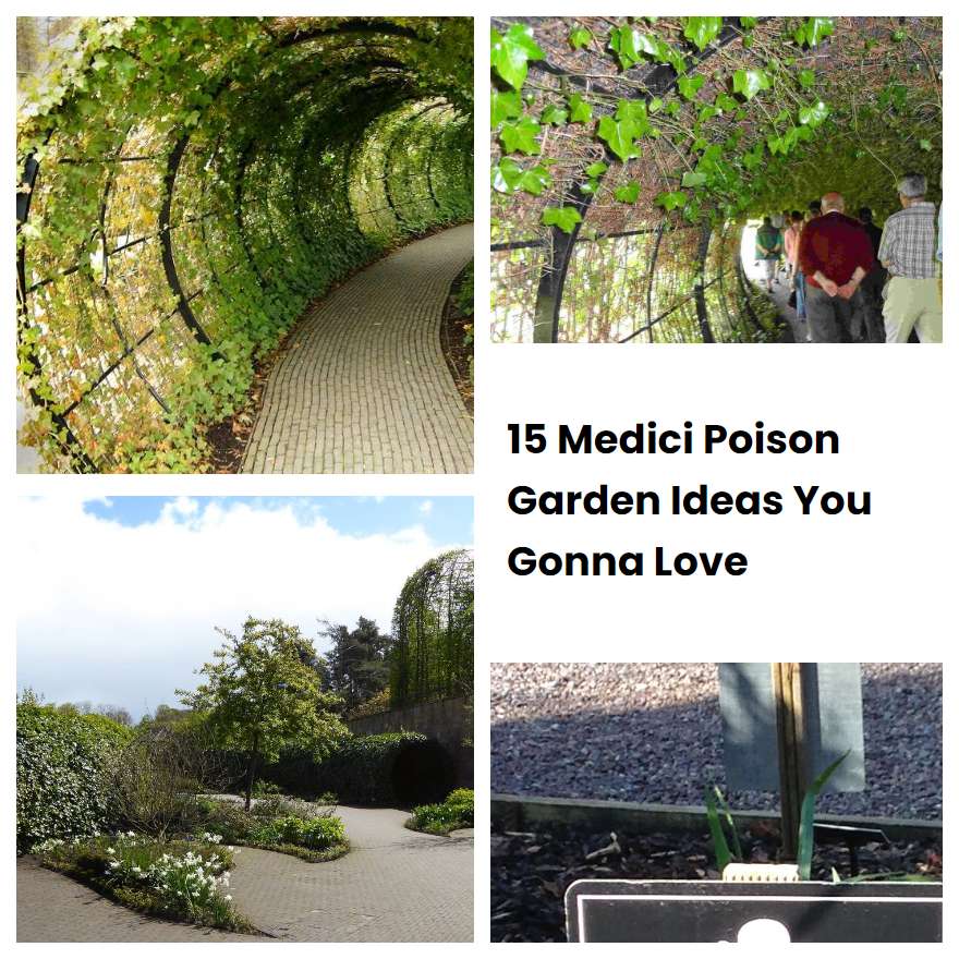 15 Medici Poison Garden Ideas You Gonna Love