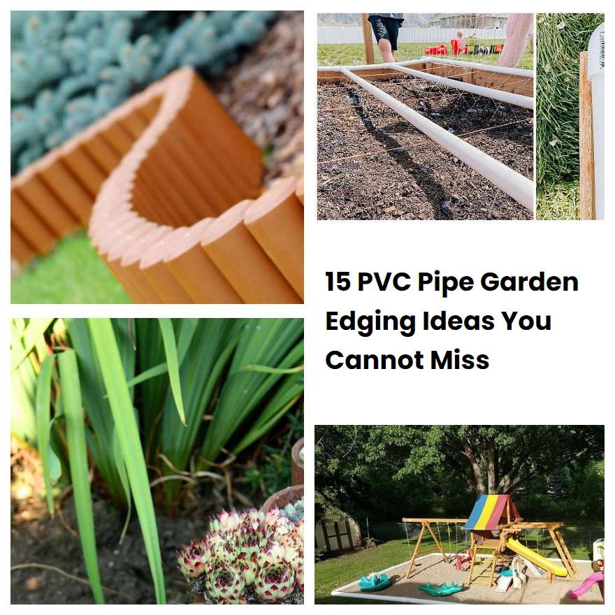 15 PVC Pipe Garden Edging Ideas You Cannot Miss