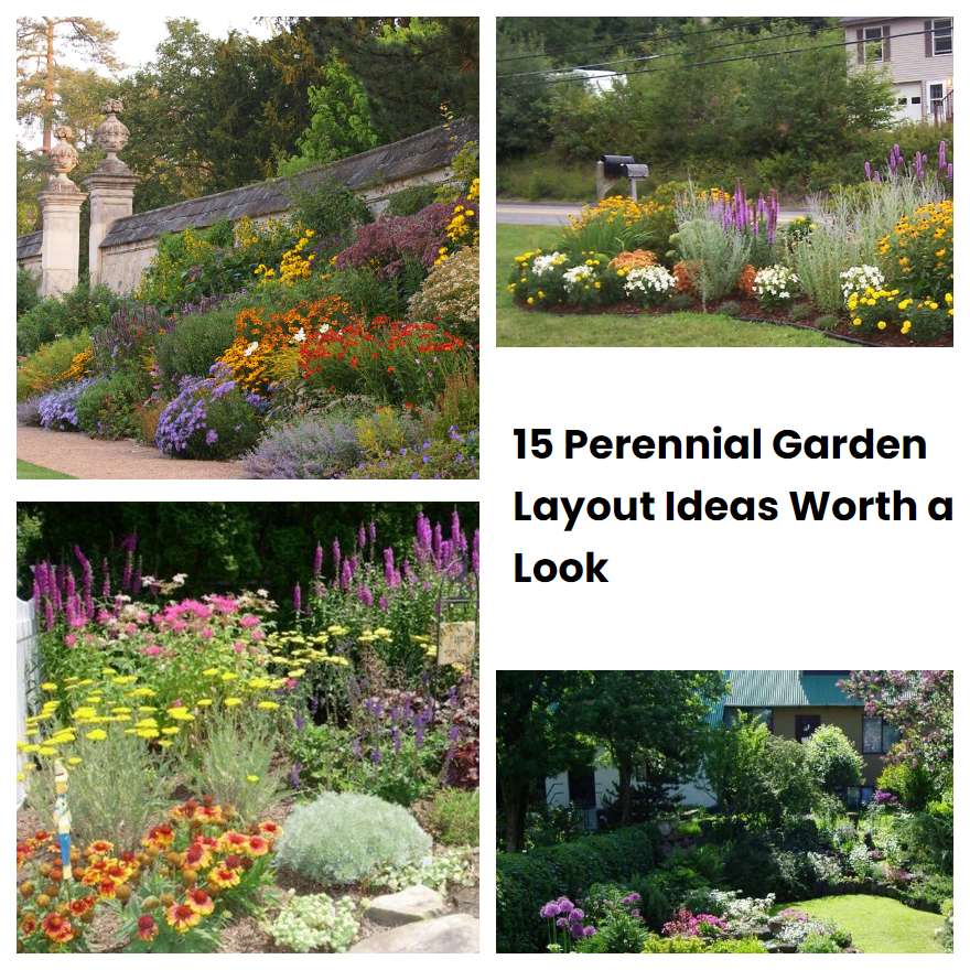 15 Perennial Garden Layout Ideas Worth a Look SharonSable