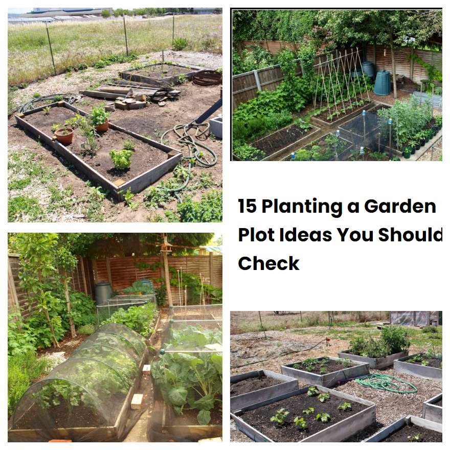 15 Planting a Garden Plot Ideas You Should Check SharonSable