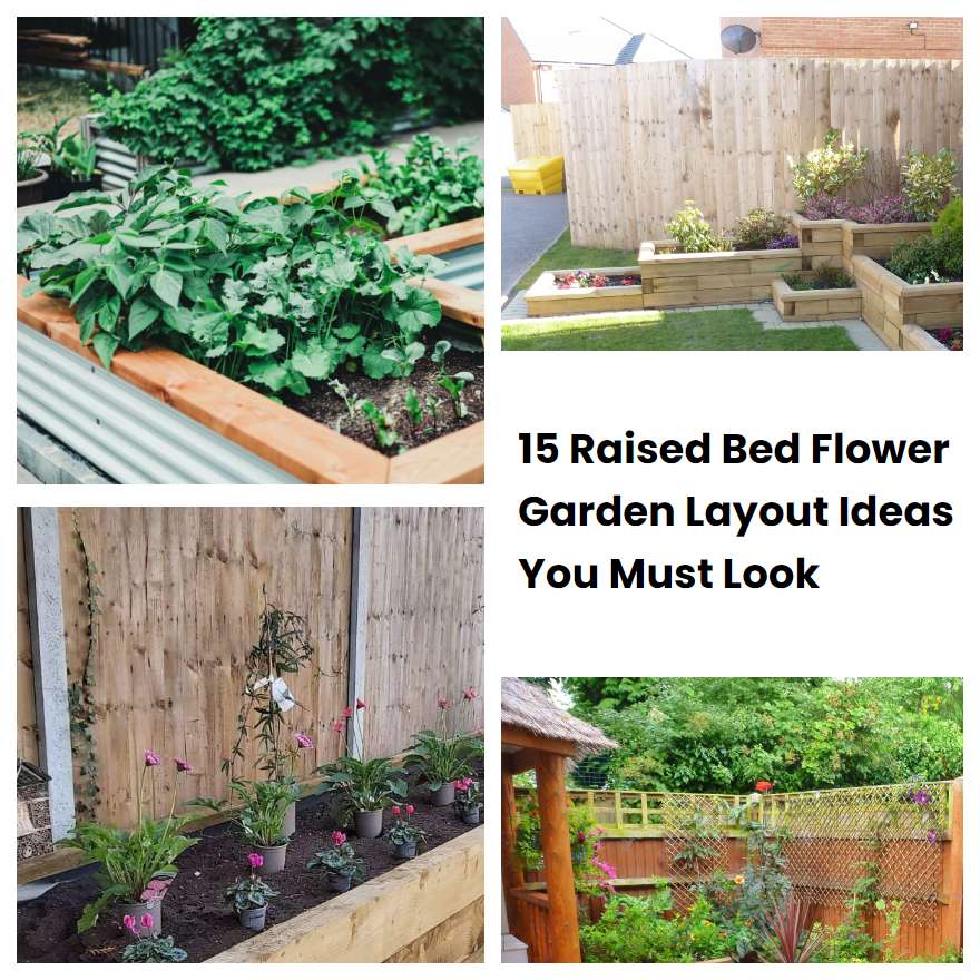 15 Raised Bed Flower Garden Layout Ideas You Must Look SharonSable