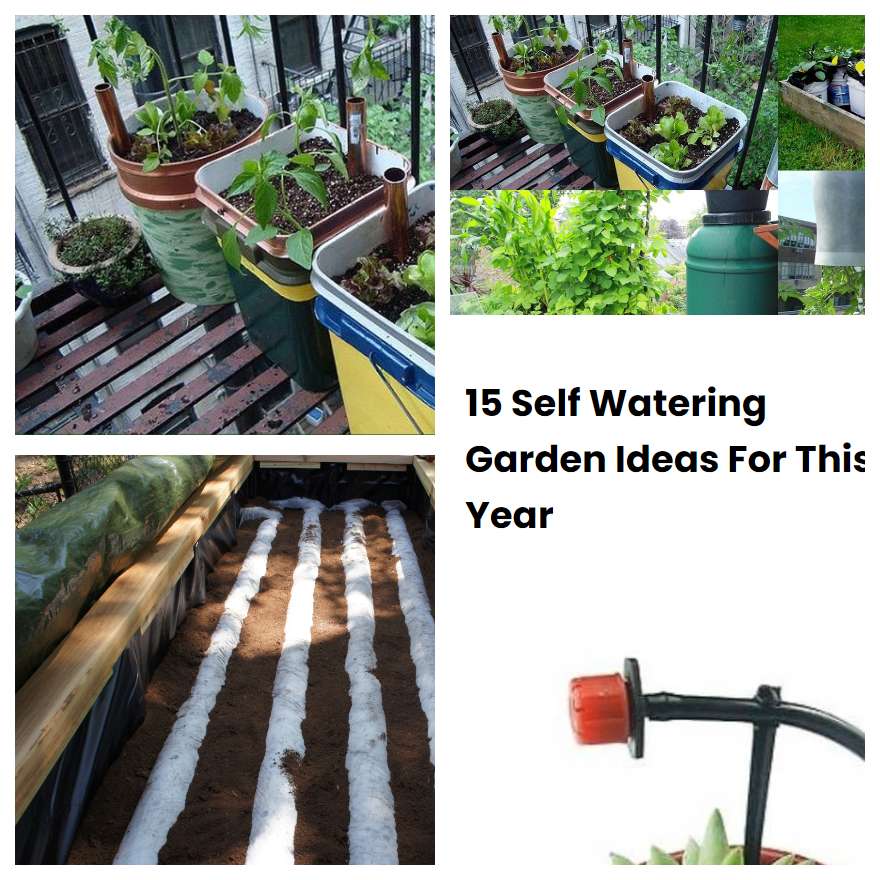 15 Self Watering Garden Ideas For This Year SharonSable