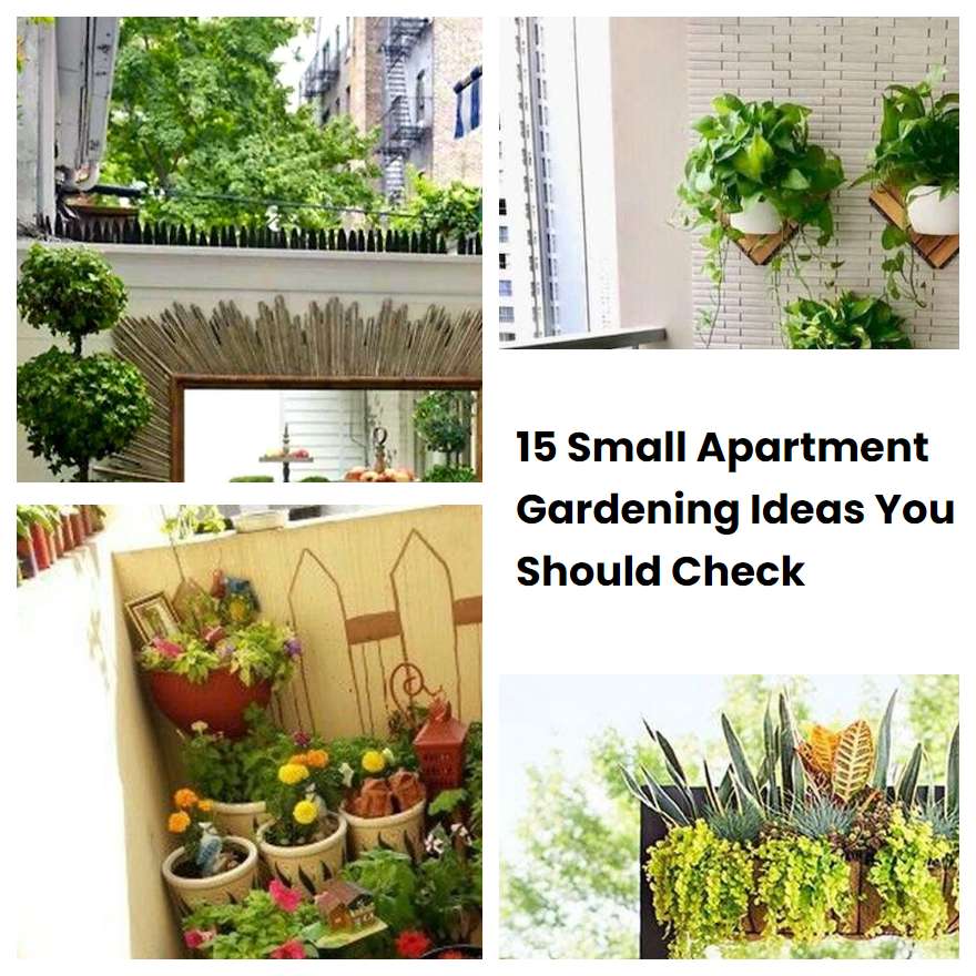 15 Small Apartment Gardening Ideas You Should Check