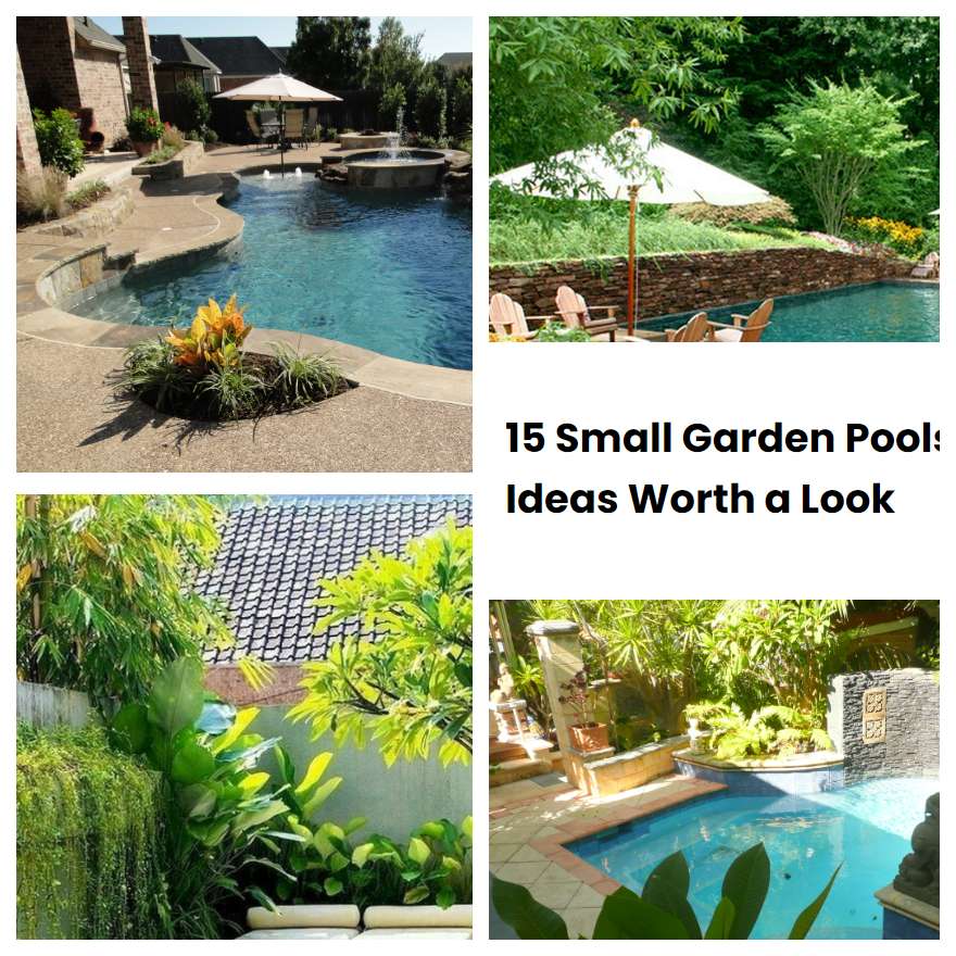 15 Small Garden Pools Ideas Worth a Look