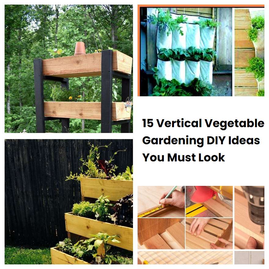 15 Vertical Vegetable Gardening DIY Ideas You Must Look SharonSable