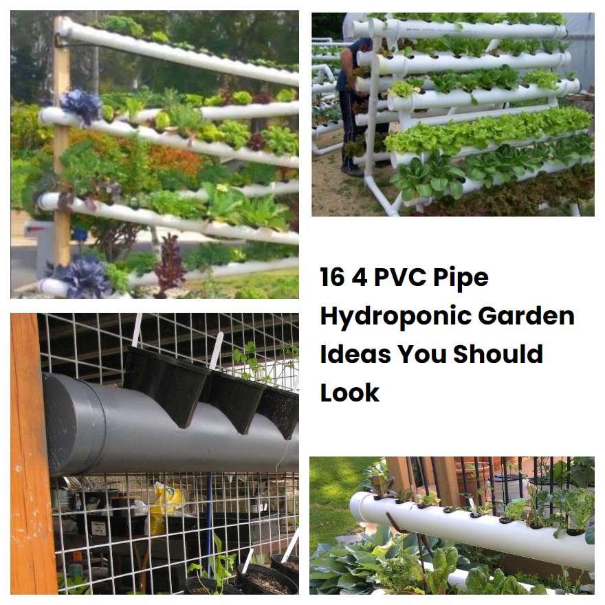 16 4 PVC Pipe Hydroponic Garden Ideas You Should Look