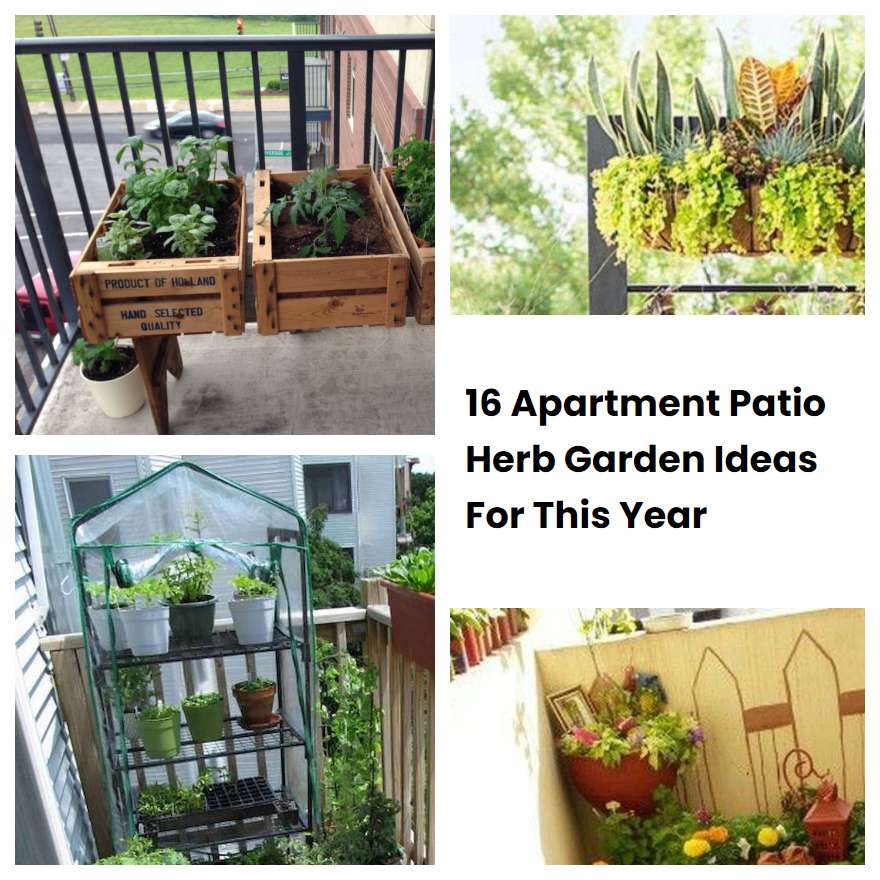 16 Apartment Patio Herb Garden Ideas For This Year SharonSable