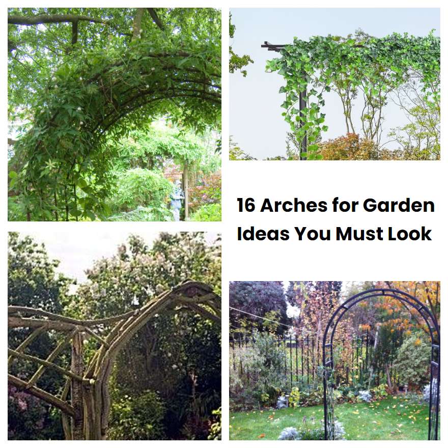 16 Arches for Garden Ideas You Must Look