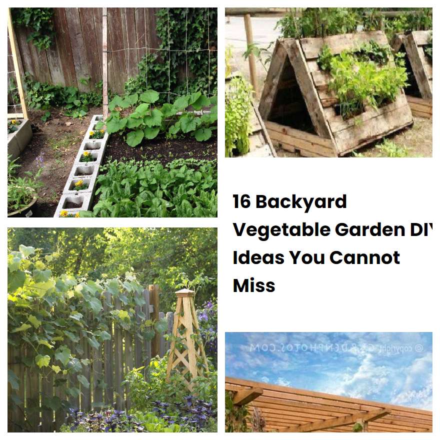 16 Backyard Vegetable Garden DIY Ideas You Cannot Miss