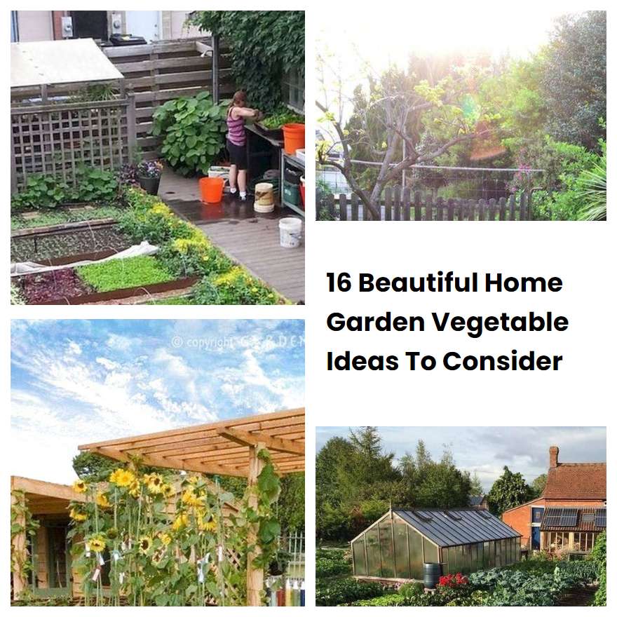 16 Beautiful Home Garden Vegetable Ideas To Consider
