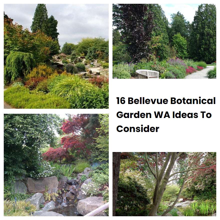 16 Bellevue Botanical Garden WA Ideas To Consider