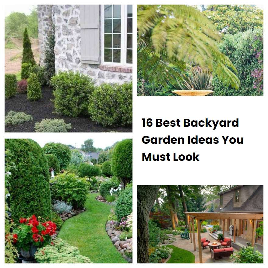 16 Best Backyard Garden Ideas You Must Look SharonSable