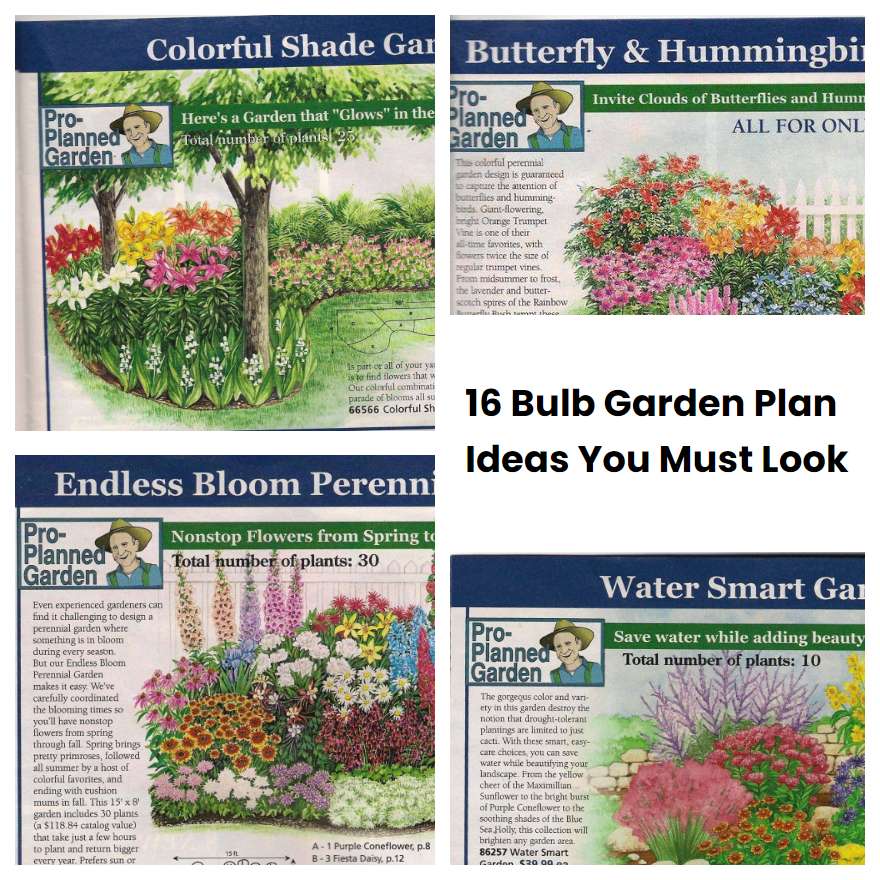 16 Bulb Garden Plan Ideas You Must Look