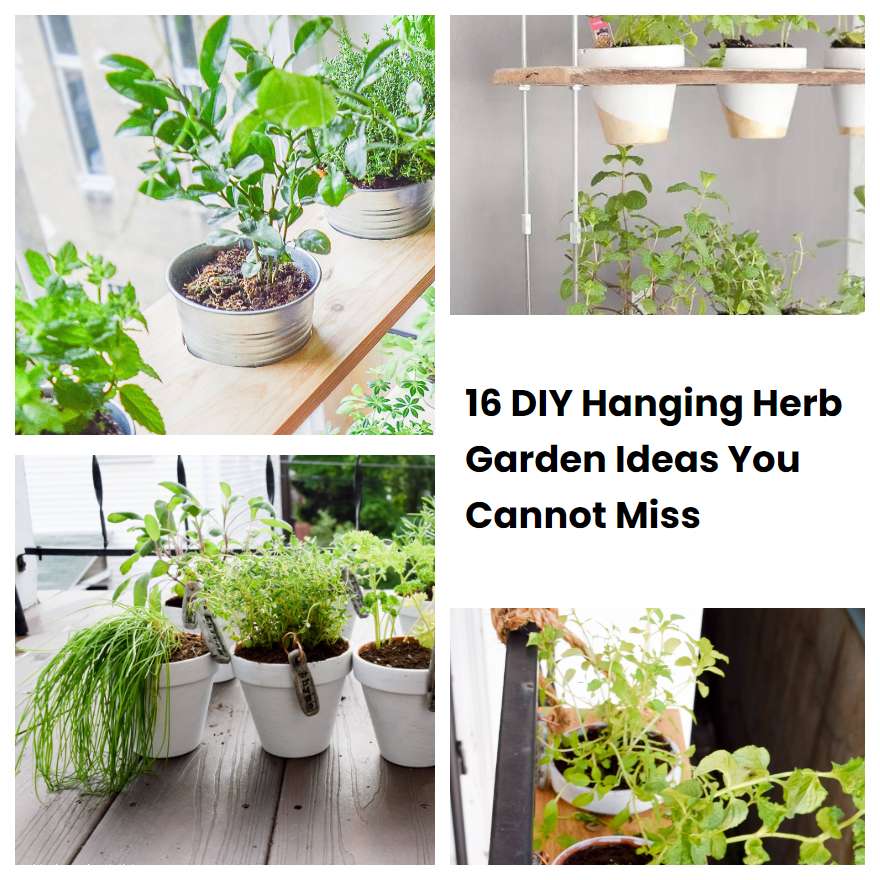 16 DIY Hanging Herb Garden Ideas You Cannot Miss SharonSable