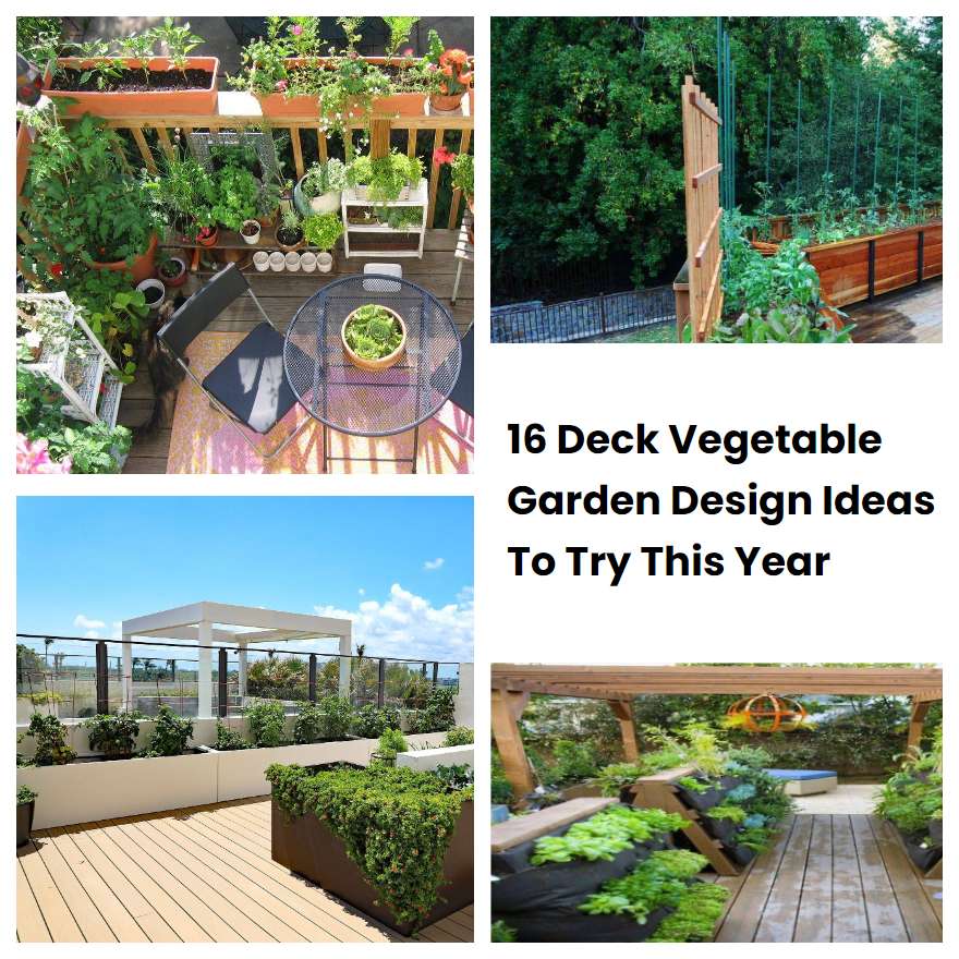 16 Deck Vegetable Garden Design Ideas To Try This Year
